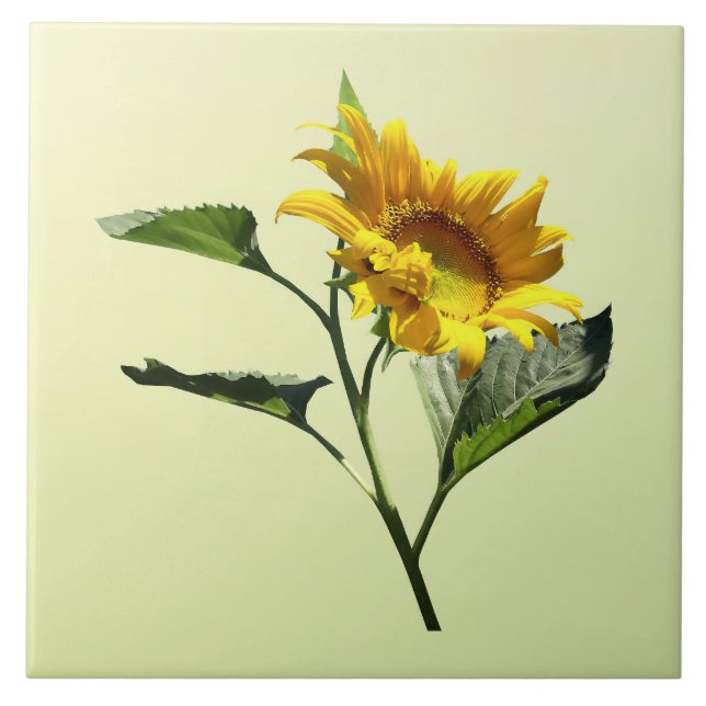 Carreau Profil d'une tuile de tournesol (Devant)