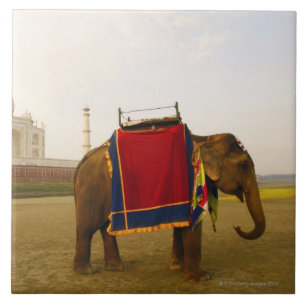 Carreau Profil latéral d'un éléphant, le Taj Mahal, Ind
