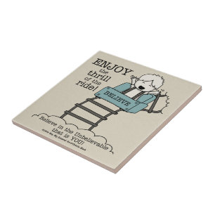 Carreau Profitez du tour