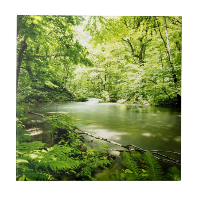 Carreau Profondément dans la forêt (Devant)