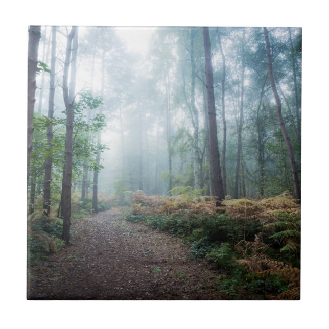 Carreau Promenade brumeuse de forêt (Devant)