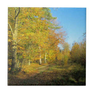 Carreau Promenade d'automne ensoleillée - Céramique person