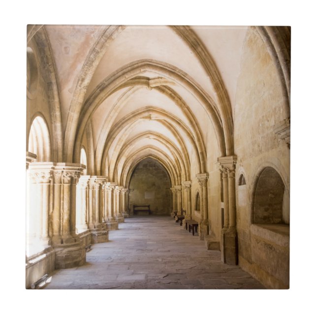 Carreau Promenade du cloître de la vieille cathédrale (Devant)