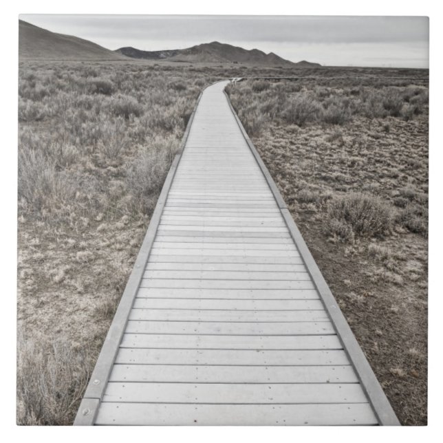 Carreau Promenade par le désert (Devant)