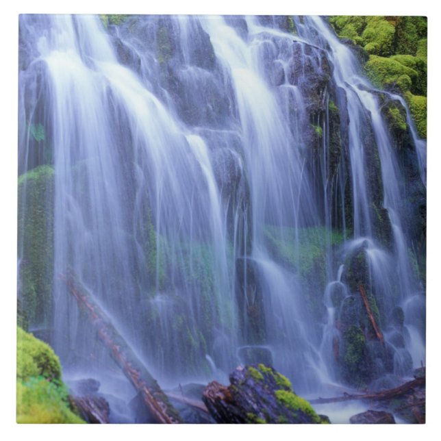 Carreau Proxy Falls dans les montagnes centrales de la cha (Devant)
