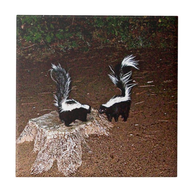 Carreau Puanteurs d'amour (Devant)