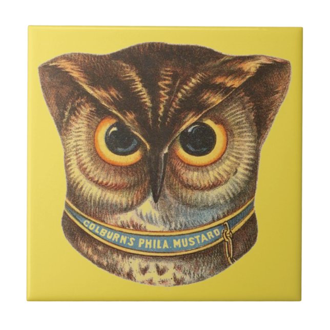 Carreau Publicité d'illustration de hibou vintage jaune (Devant)