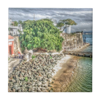 Carreau Puerta De San Juan (vieille porte d'entrée vieux