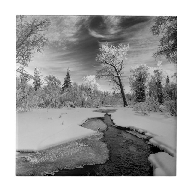 Carreau Pure Campbell Creek (Devant)