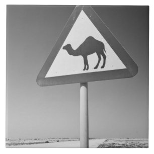 Carreau Qatar, Al Zubarah. Panneau de signalisation de tra