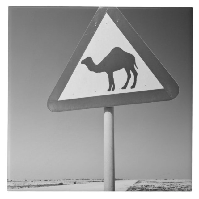 Carreau Qatar, Al Zubarah. Panneau de signalisation de tra (Devant)