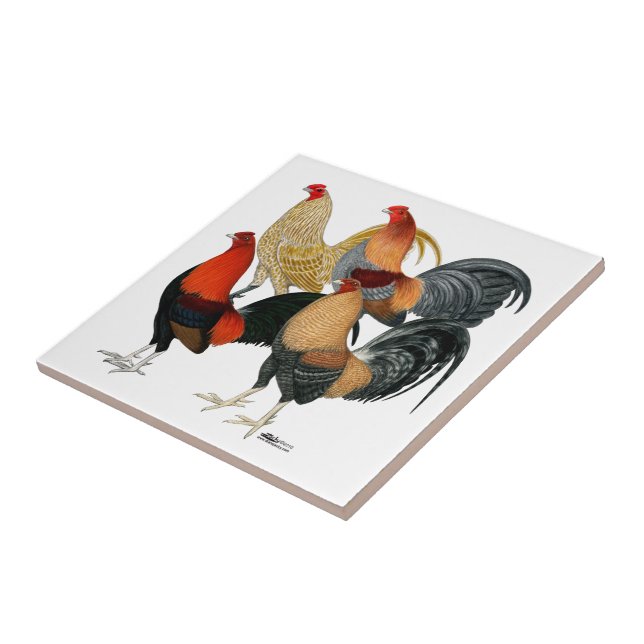 Carreau Quatre Gamecocks (Côté)