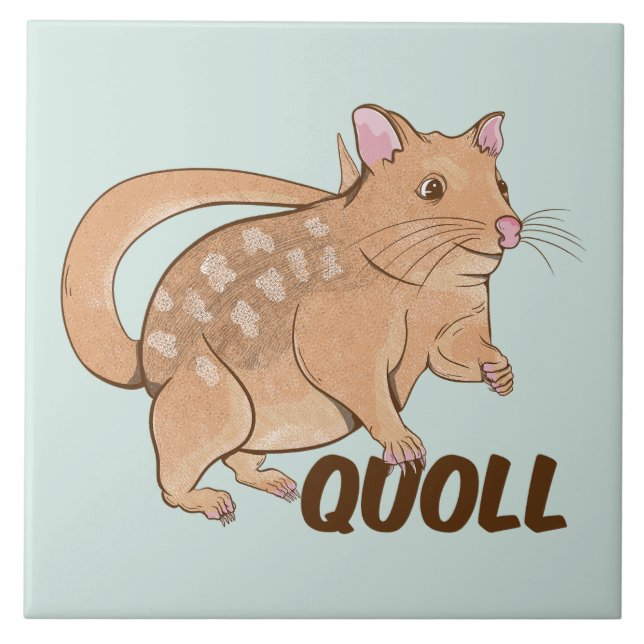 Carreau Quoll Australian Marsupial (Devant)