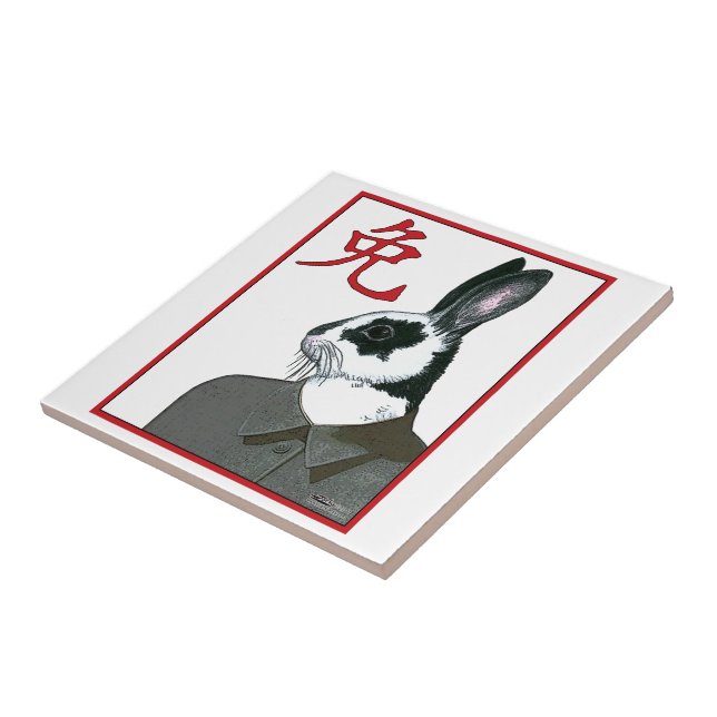 Carreau Rabbit de fête (Côté)