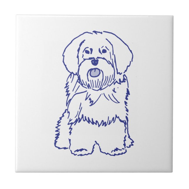 Carreau Race de chien Havanese (Devant)