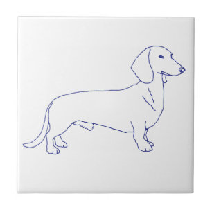 Carreau Race de chien teckel