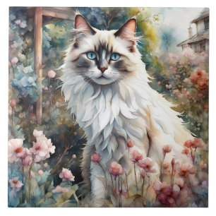 Carreau Ragdoll Chat en anglais Garden