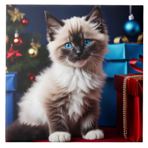 Carreau Ragdoll Kitten cadeau de Noël