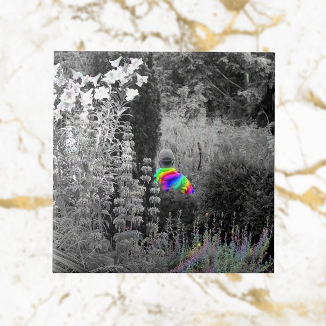 Carreau Rainbow Garden Visiteur Carrelage décoratif (Créateur téléchargé)