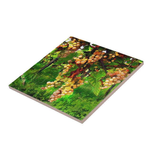 Carreau Raisins accrochants sur les vignes (Côté)