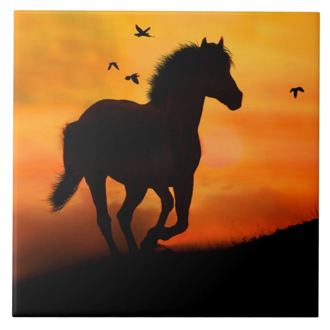 Carreau Randonnée à cheval au coucher du soleil avec oisea (Devant)
