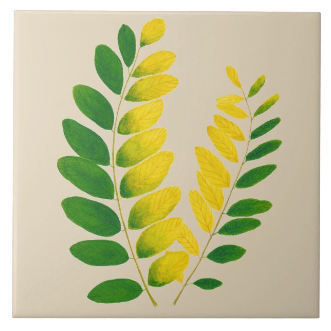 Carreau 'Rang De Basanti' sur un Carrelage en céramique (I (Devant)