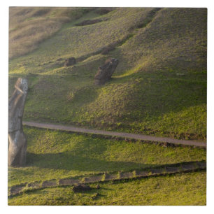 Carreau Rano Raraku, Rapa Nui, Île de Pâques, Chili