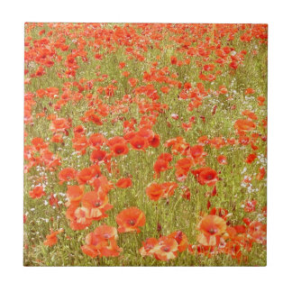 CARREAU RAPPELEZ-VOUS MOI TUILE