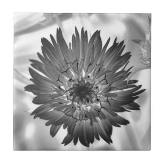 Carreau rayon X de fleur