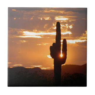 Carreau Rayons de Saguaro