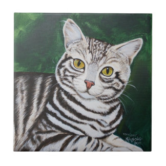 Carreau Rayures, chat tigré