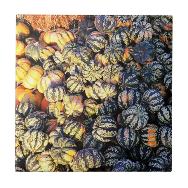 Carreau Rayures Et Citrouilles  (Devant)