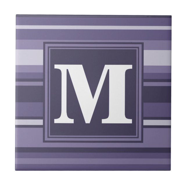 Carreau Rayures violettes de cuir monogramme (Devant)
