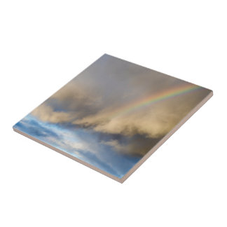 Carreau rébellion arc-en-ciel