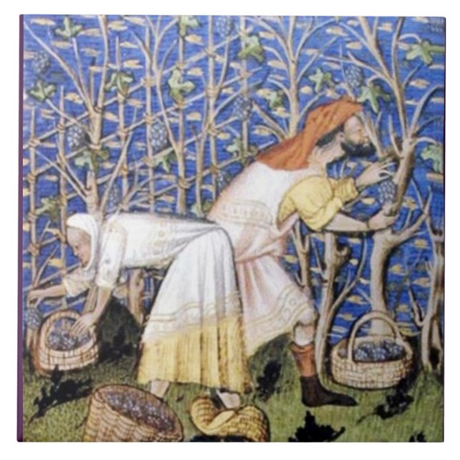 CARREAU RÉCOLTE ANTIQUE DE VIGNES (Devant)