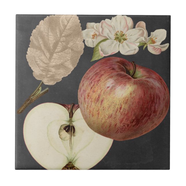 Carreau Récolte de minuit II (Devant)