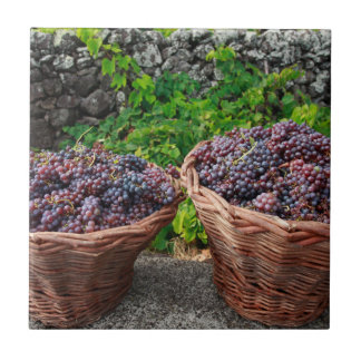 Carreau Récolte de raisin