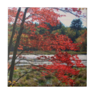 Carreau Red Autumn Feuilles Pond Nature Art Tile