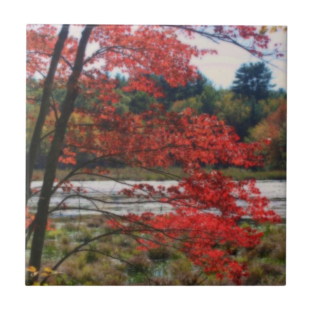 Carreau Red Autumn Feuilles Pond Nature Art Tile (Devant)
