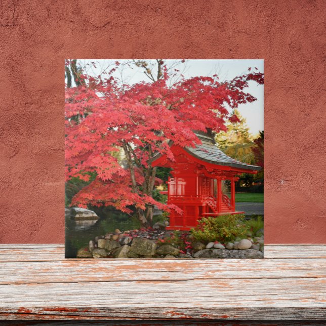 Carreau Red Japanese Maple and Garden Shrine (In Situ)