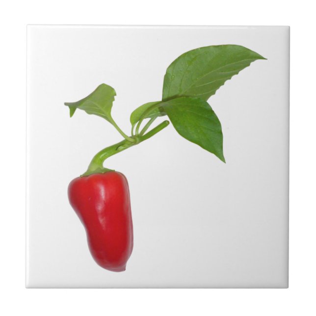Carreau Red pepper (homonymie) (Devant)