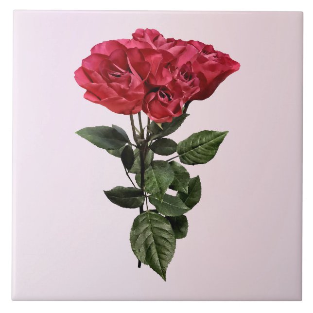 Carreau Red Roses and Leaves (Devant)