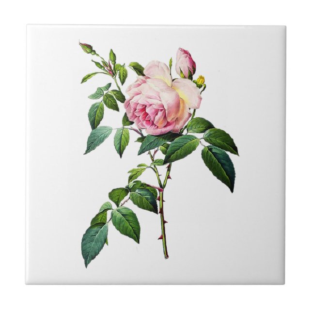Carreau Redoute Roses roses roses (Devant)