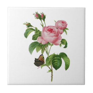 Carreau Redoute Roses roses roses
