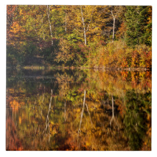 Carreau Reflet d'automne sur l'étang Coffin