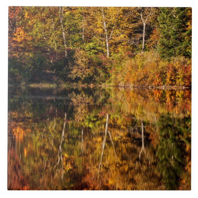 Carreau Reflet d'automne sur l'étang Coffin (Devant)