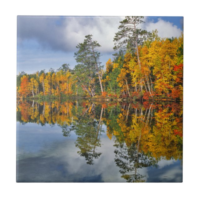 Carreau Reflets d'étang en automne, Maine (Devant)