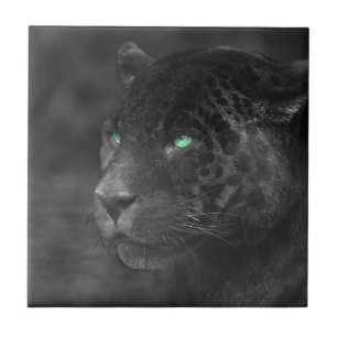 Carreau Regard d'émeraude de Jaguars noirs