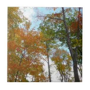 Carreau Regard sur les feuilles d'automne I Colorful Fall