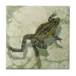 Carreau Remonter le crapaud dans l'eau<br><div class="desc">Vision Studio utilise la technique giclée (en français pour "pulvériser") dans cette oeuvre d'art. Il le rend unique et les différentes nuances de vert accentuent la tranquillité sur cette image. Choisissez cette oeuvre pour votre prochain produit Zazzle.</div>